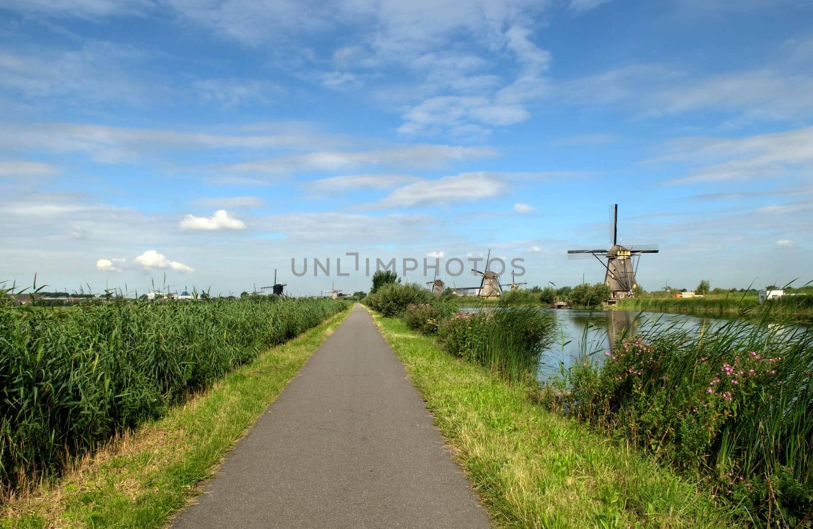 Cycle path through Kinderdijk