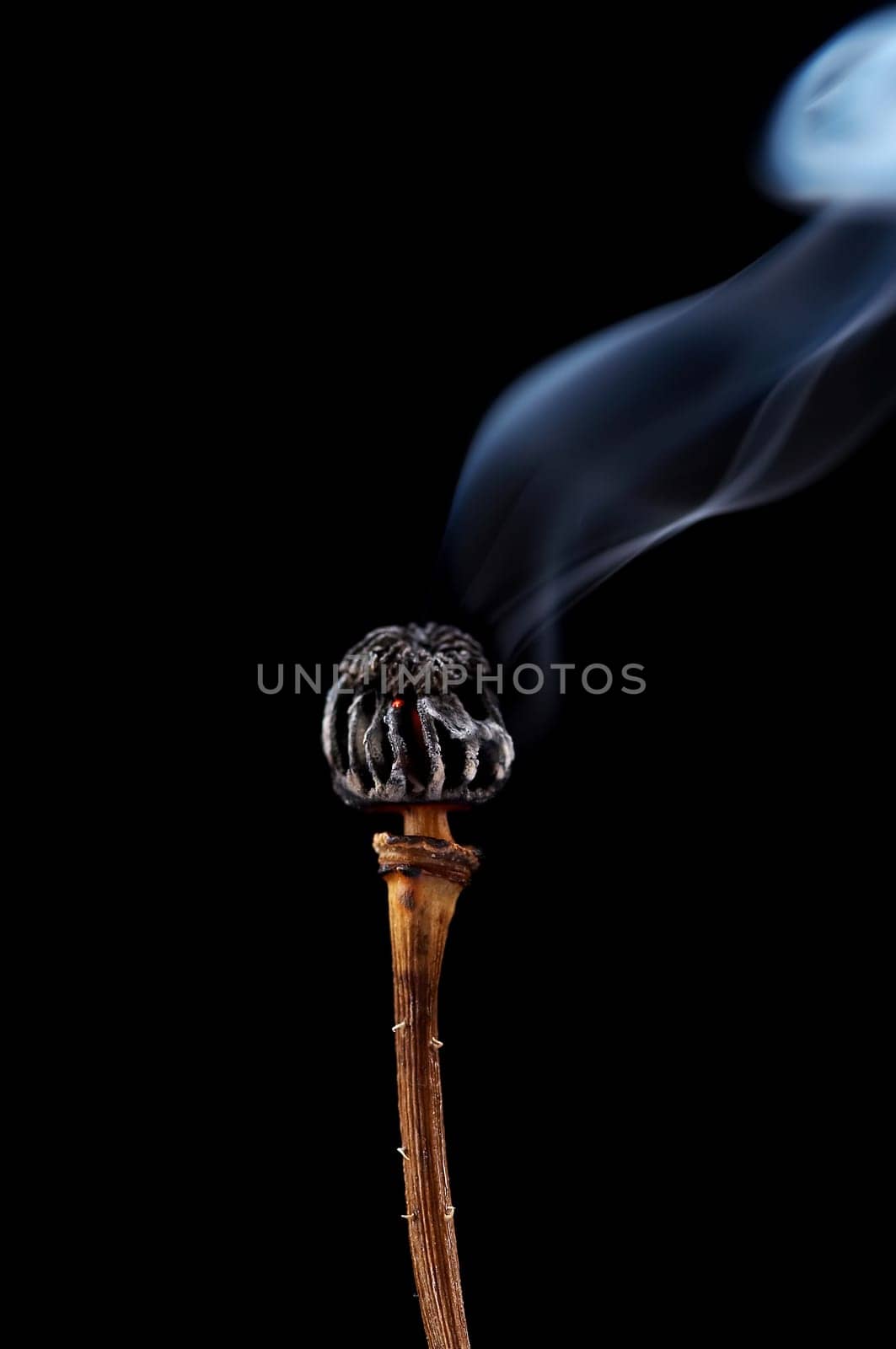 burn out poppyhead