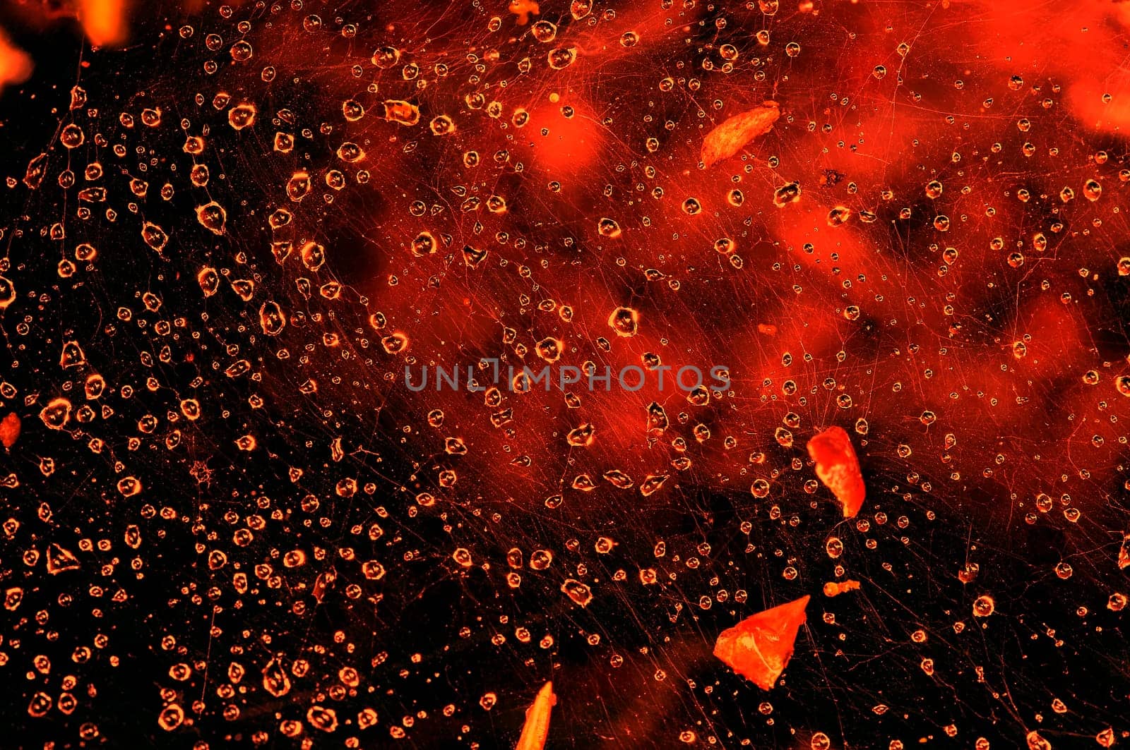 neural net - bloody space