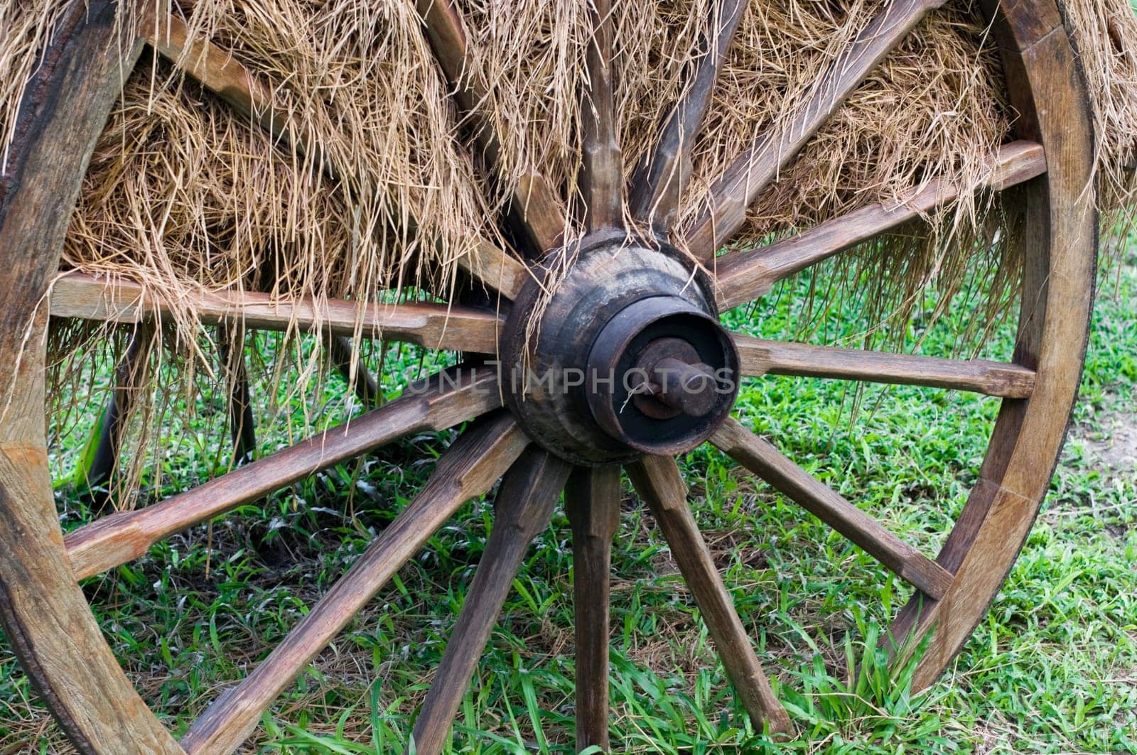 Old wagon wheel