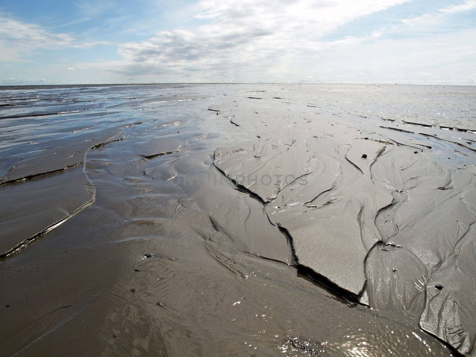 Wadden Sea
