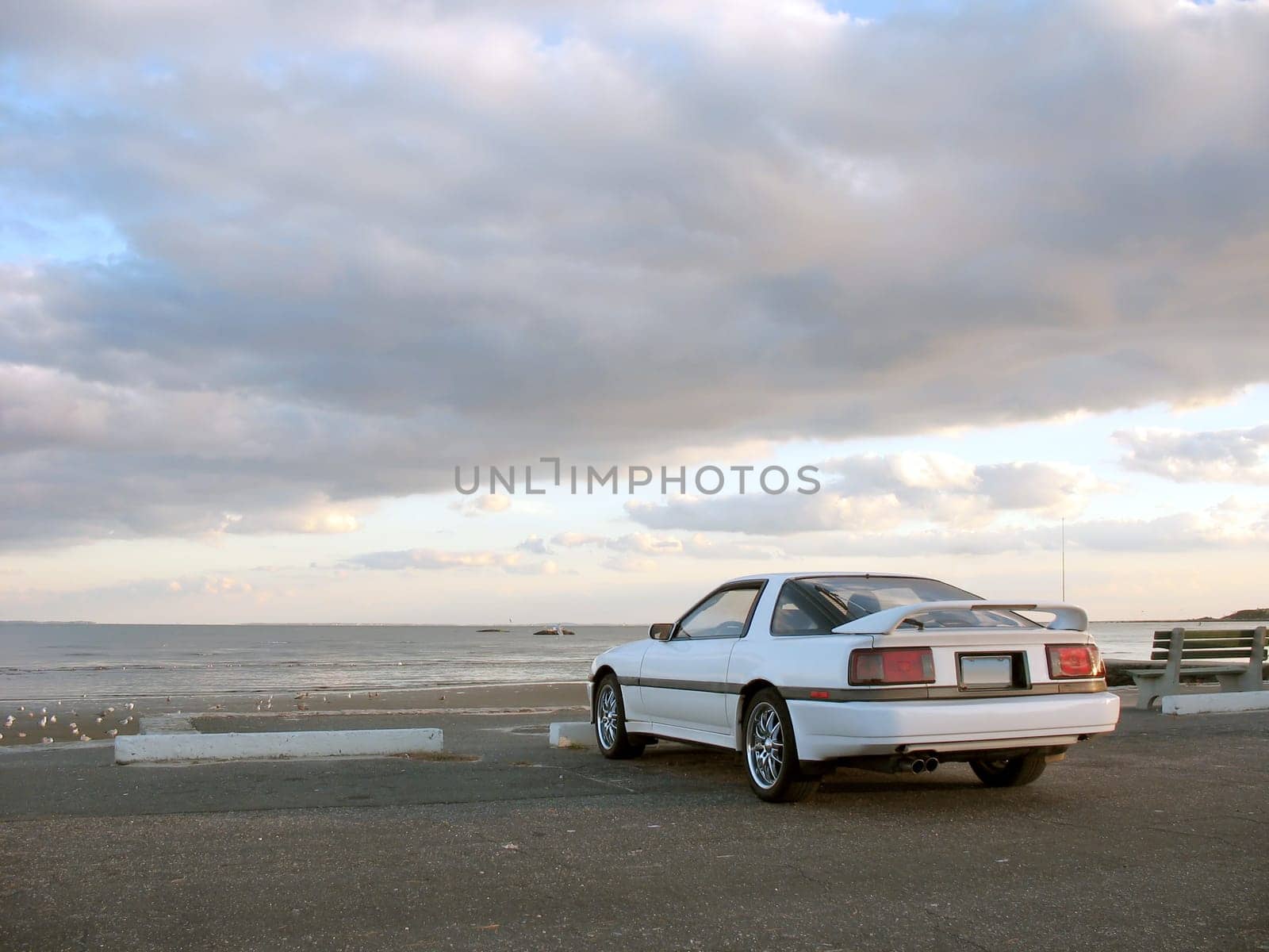 White Sportscar