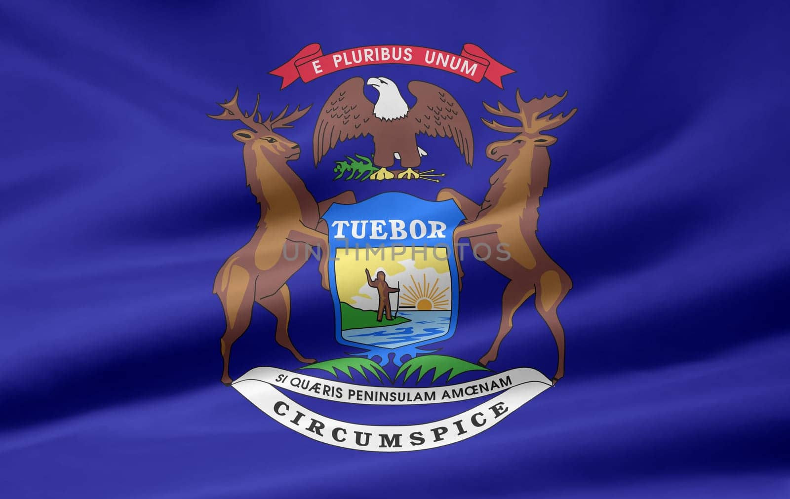 Michigan Flag