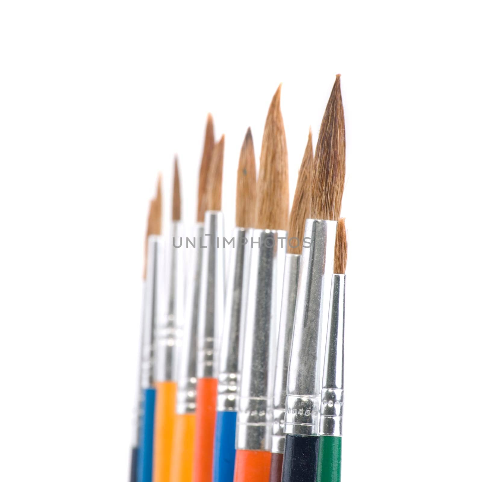 May Brush