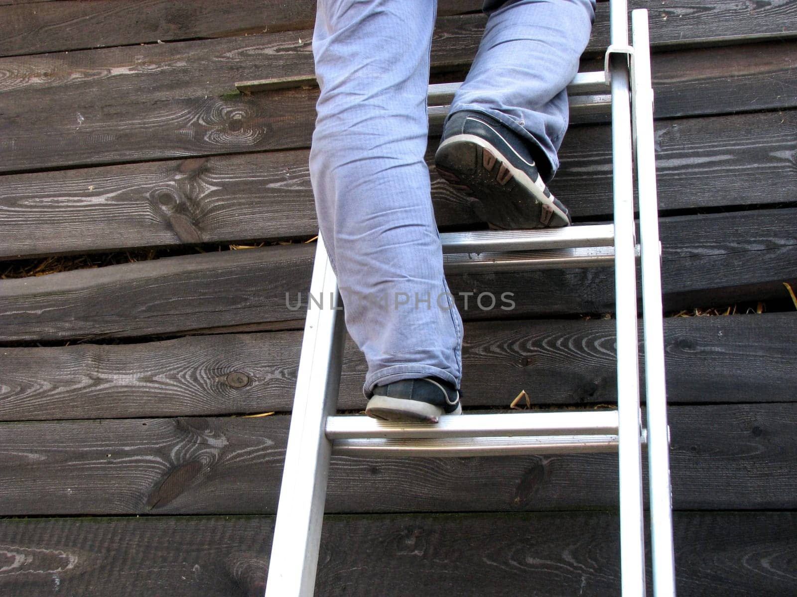 Ladder