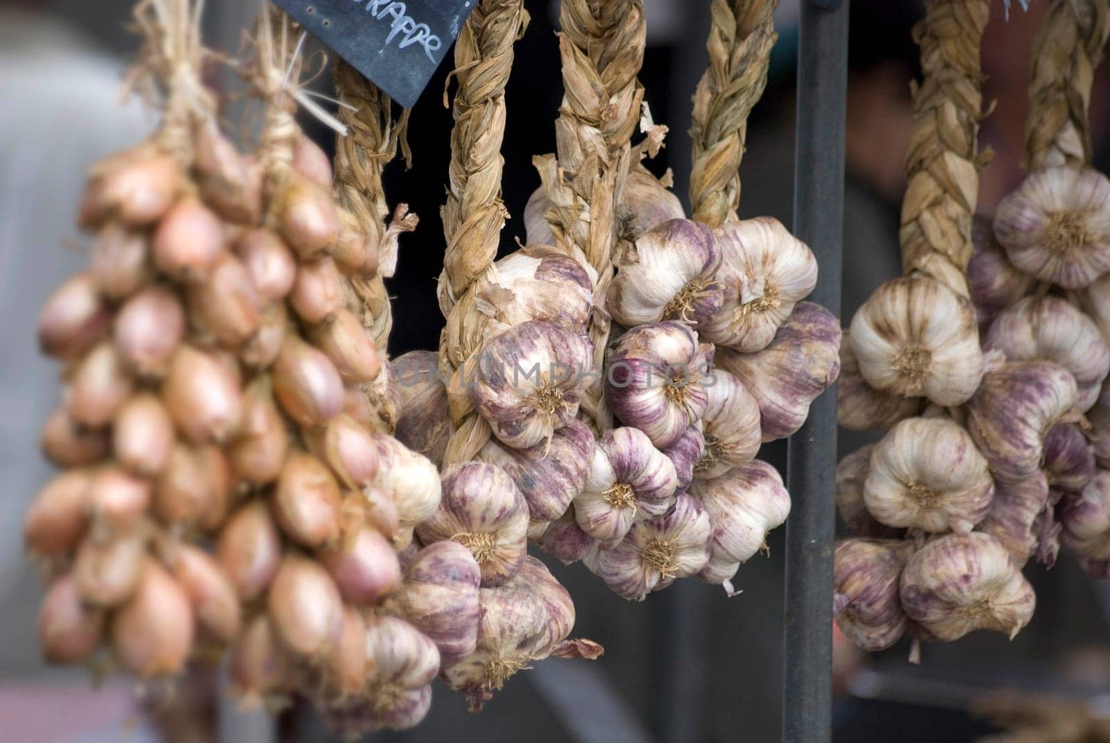 Garlic