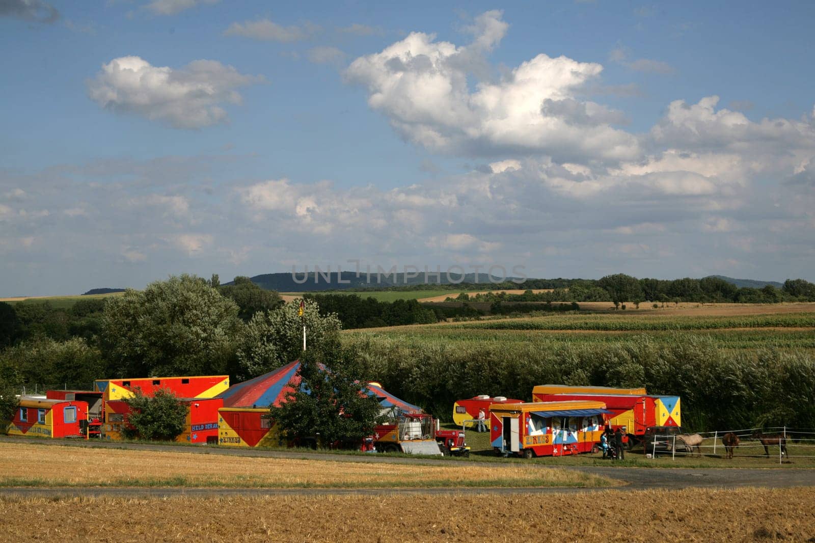Circus