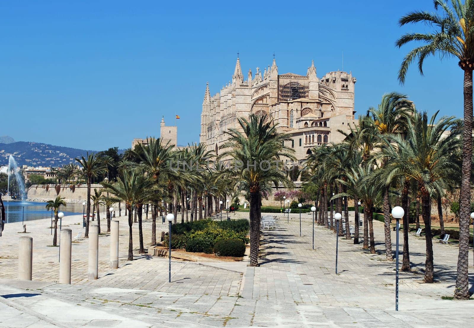 Cathedral 507