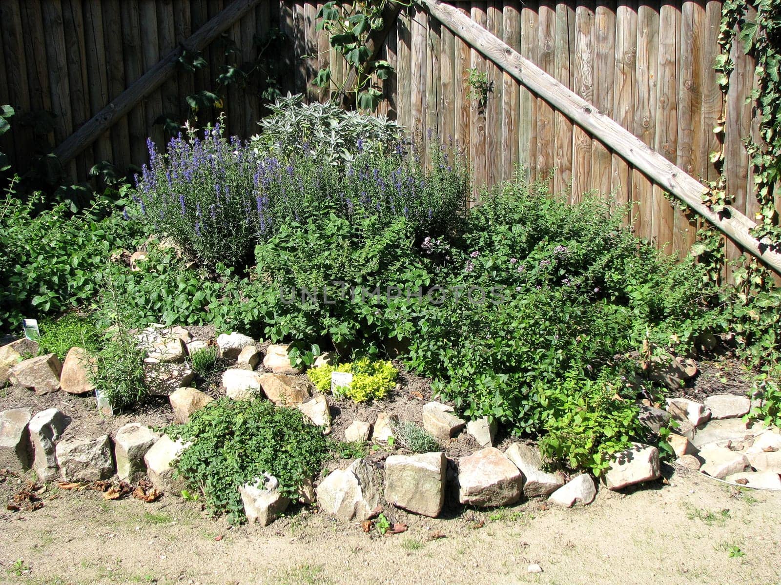 Herb garden