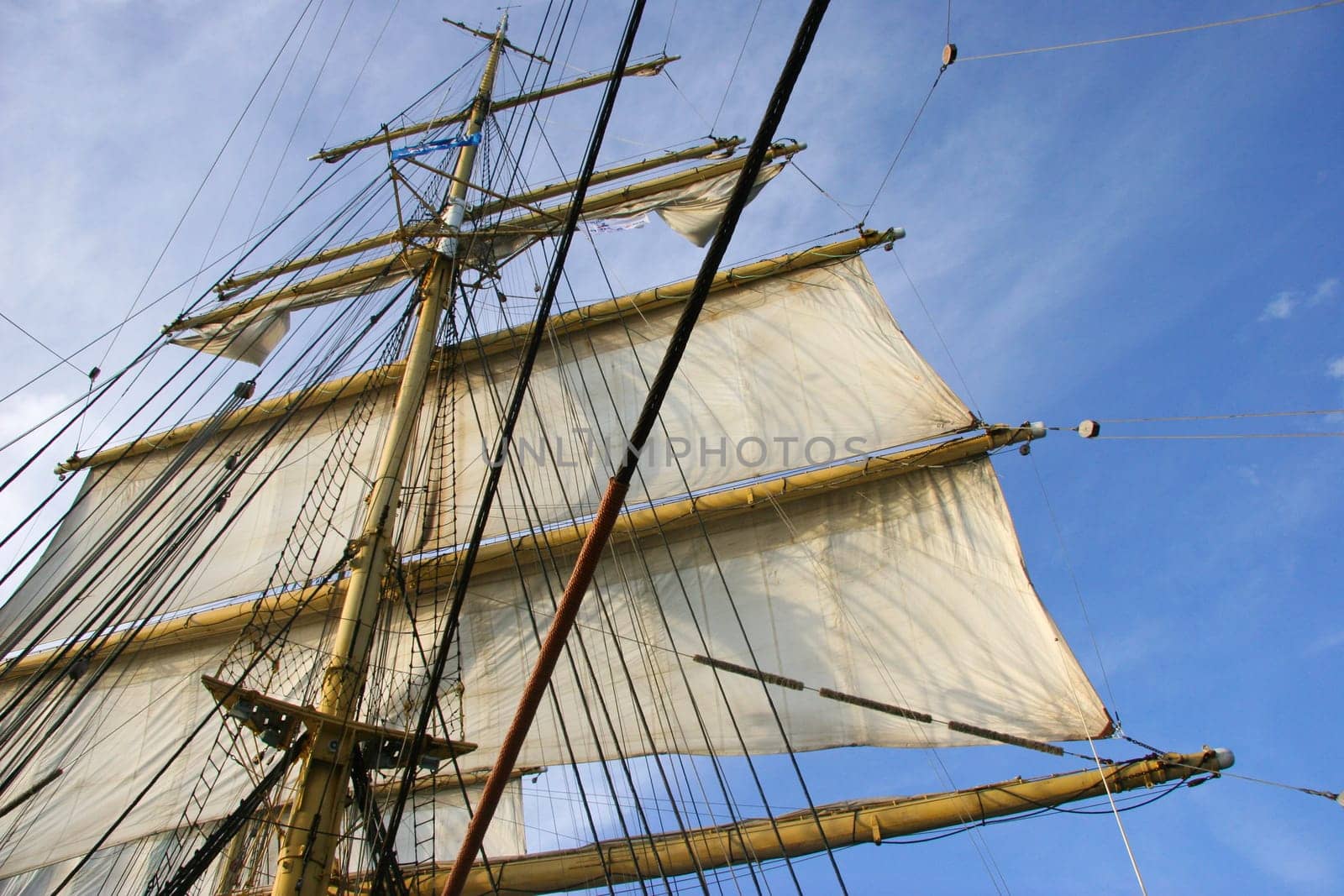 Big Sail 4