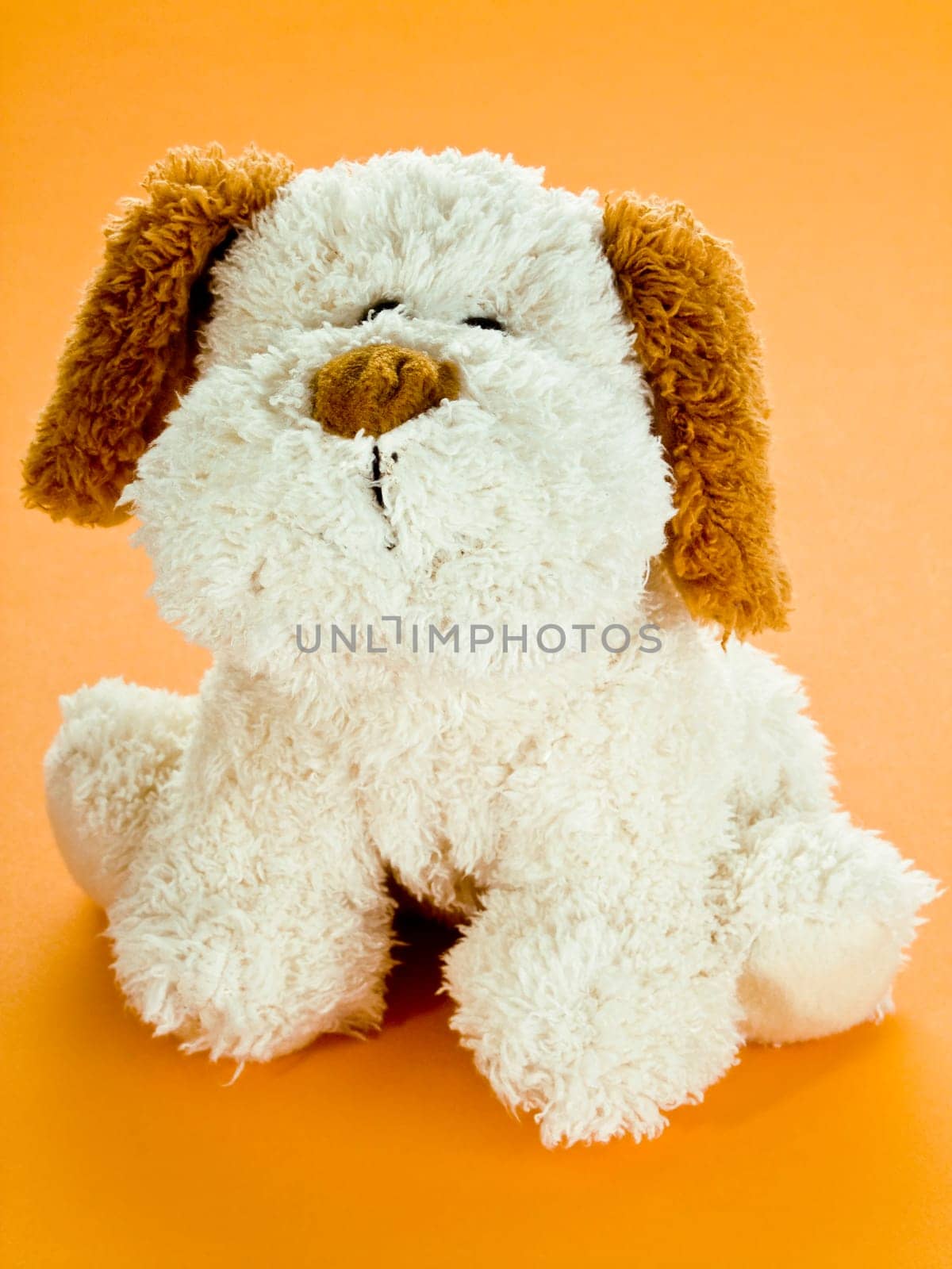 Cuddly dog