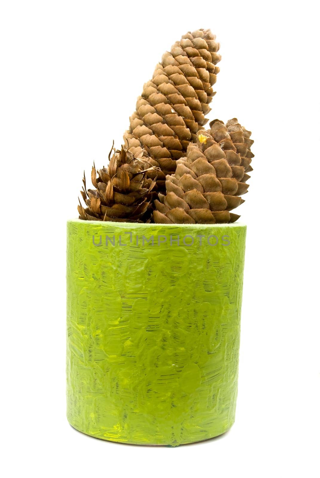 Pinecone isolated on white