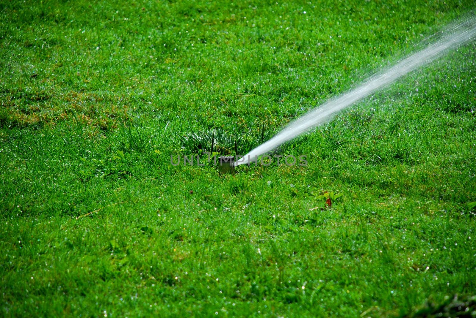 lawn sprinkler