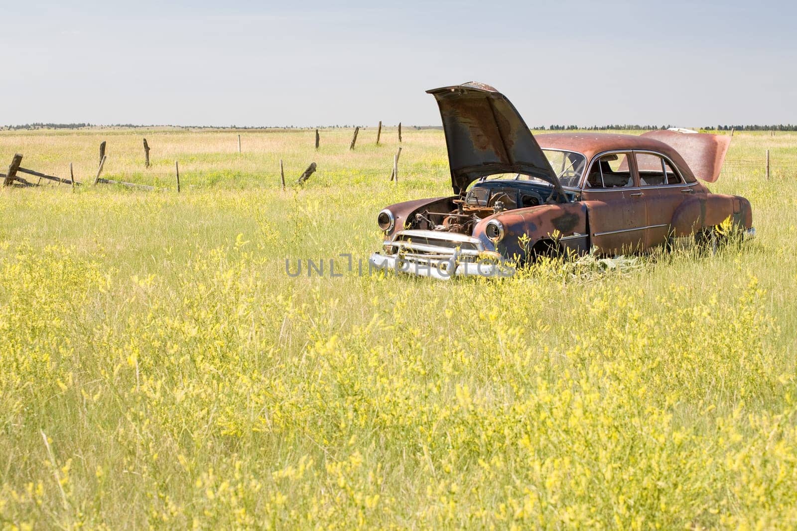 abandoned car in field