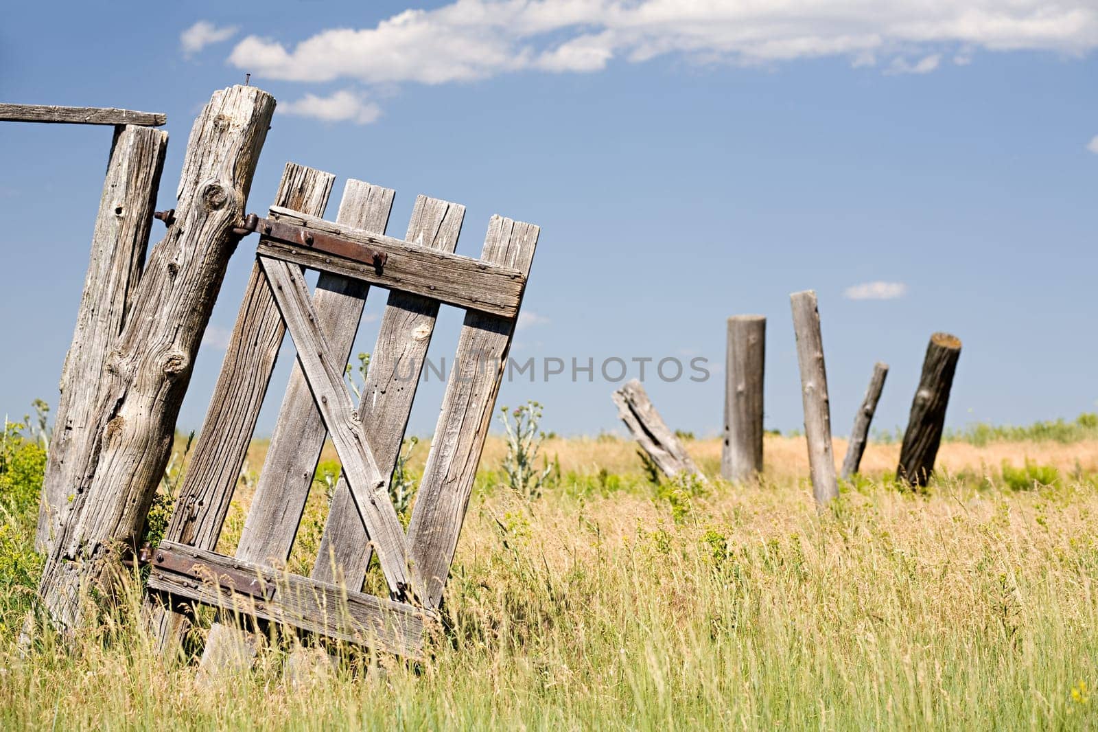 there once was a fence