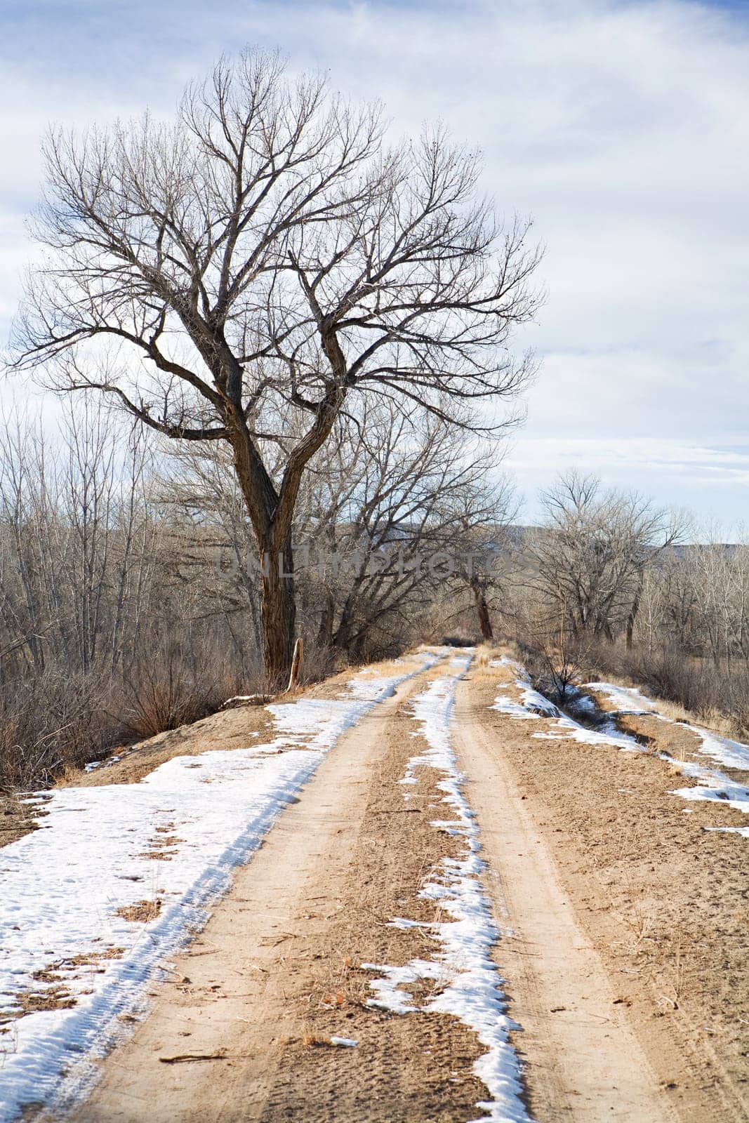 winter rural road