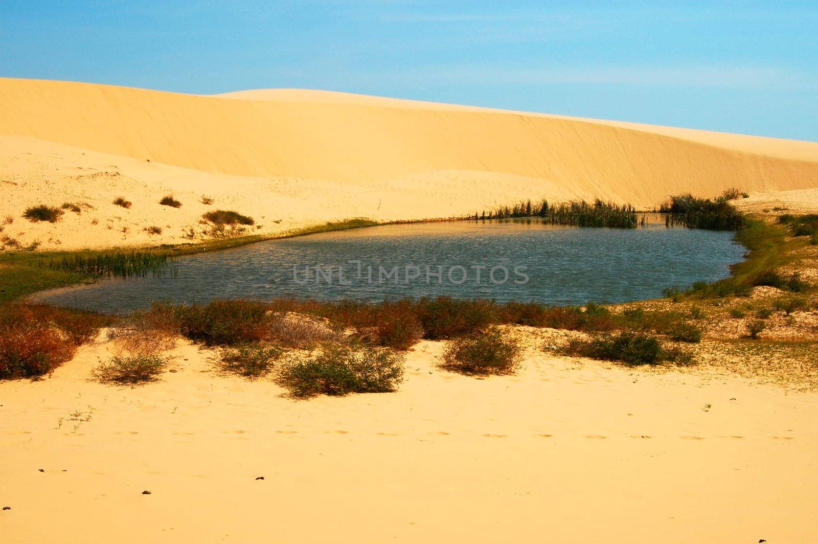 Desert lake near Mui Ne,Vietnam