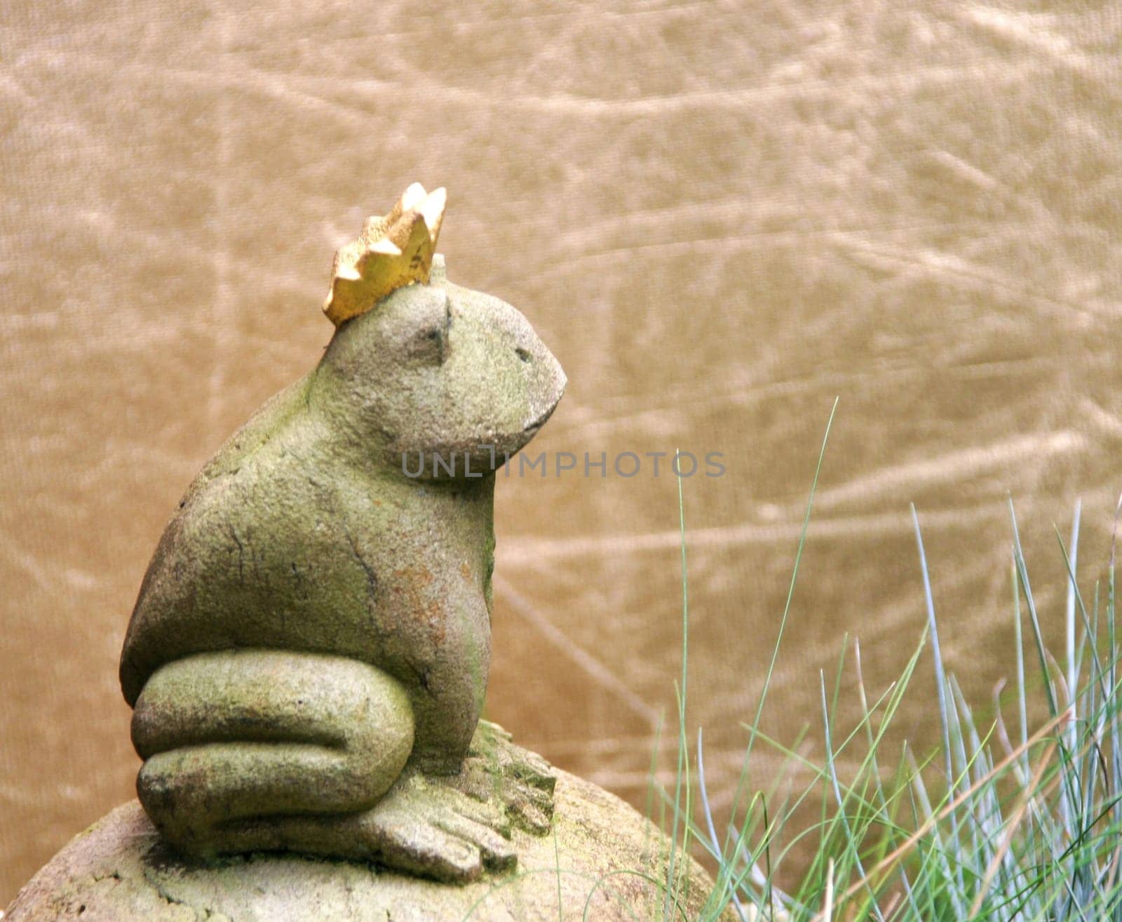 The FrogKing