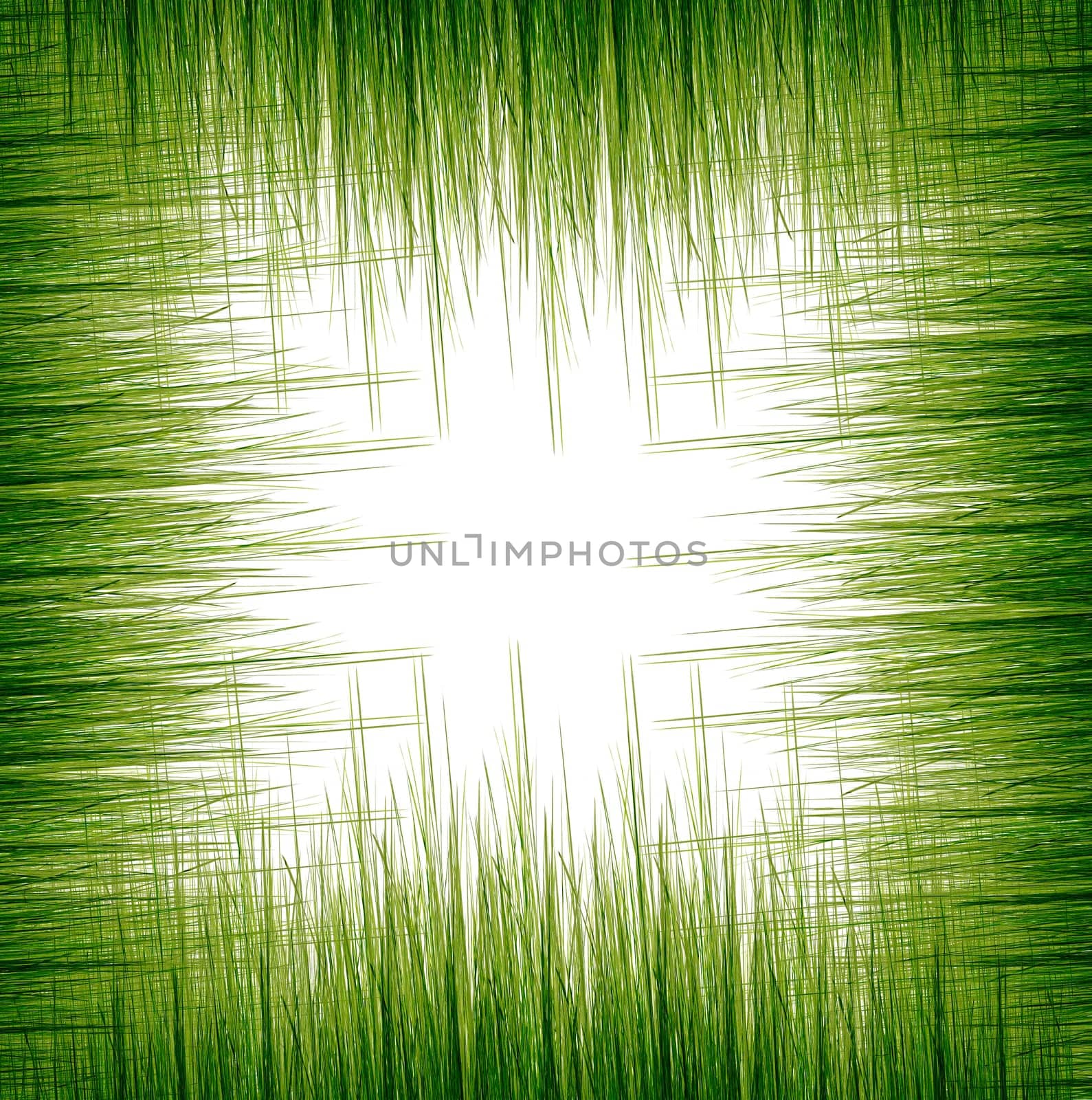 Grass
