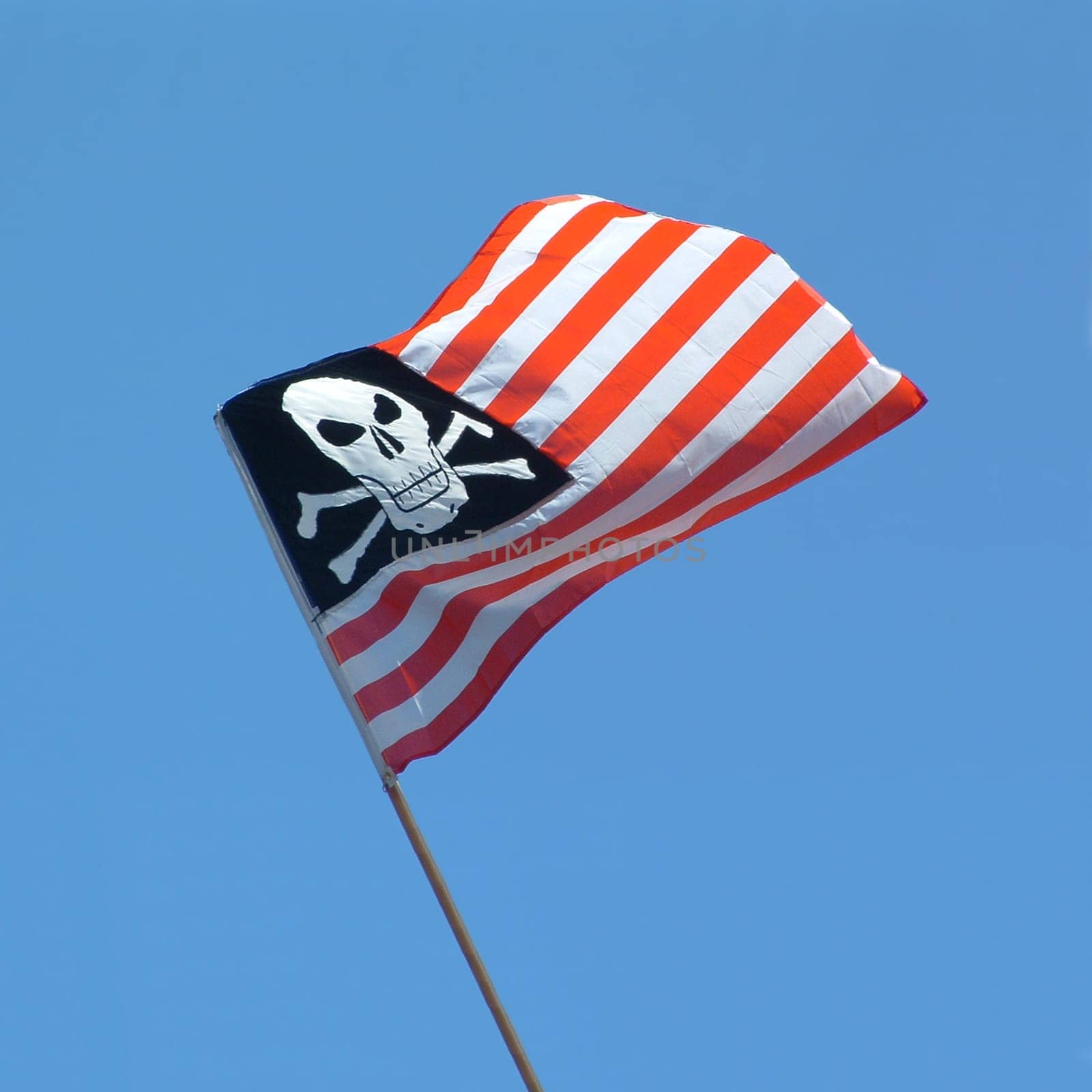 Pirate flag combined with US flag