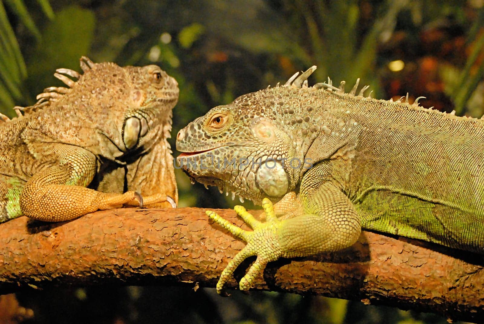 Friends