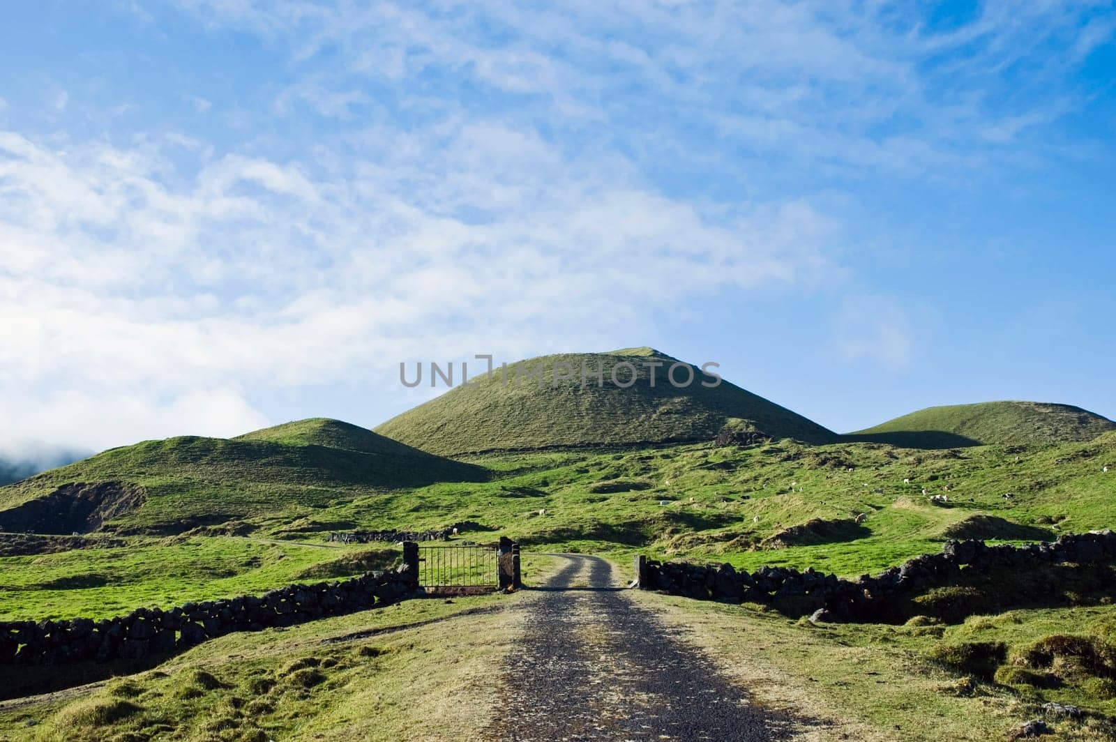 Pasture fields in Pico island, Azores
