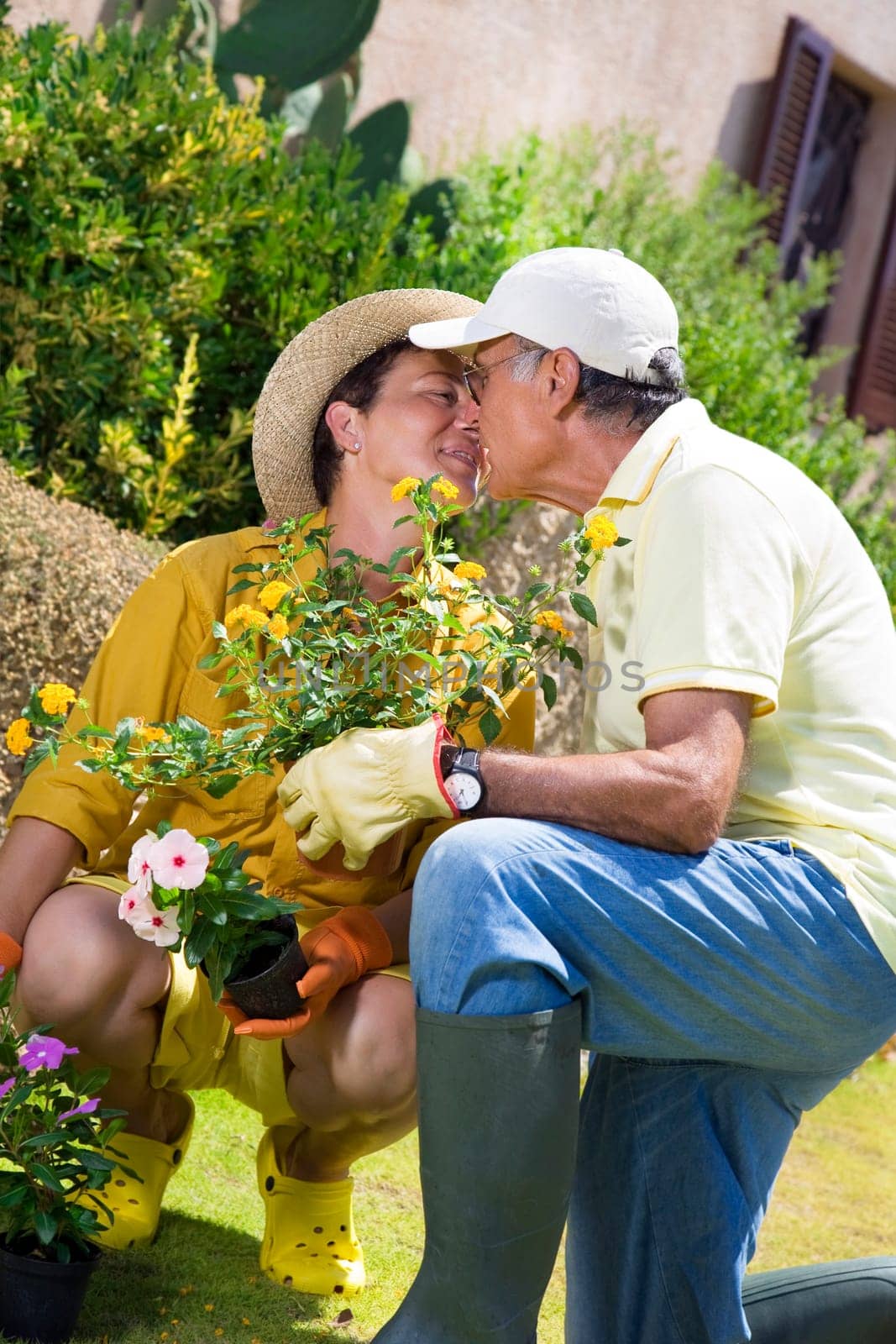gardening