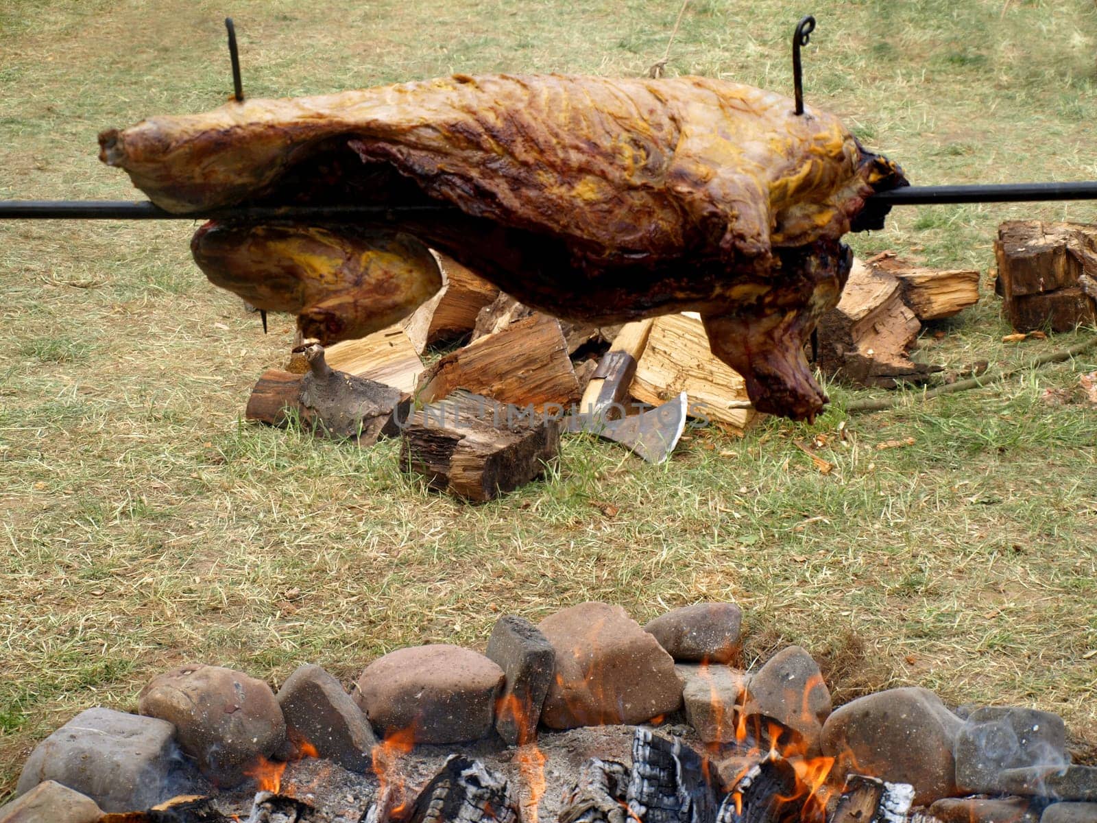 Wild boar roast