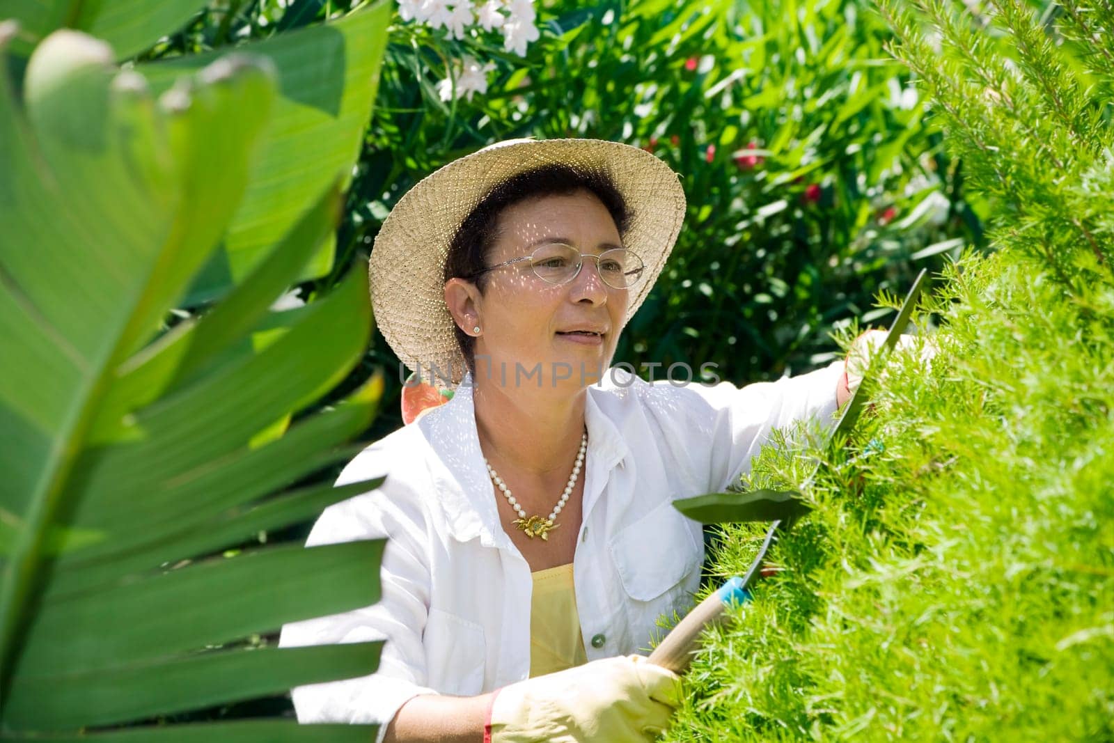 gardening