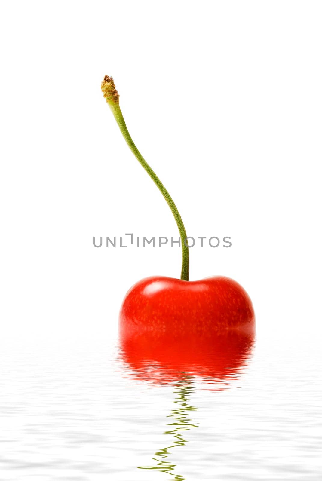 Cherry