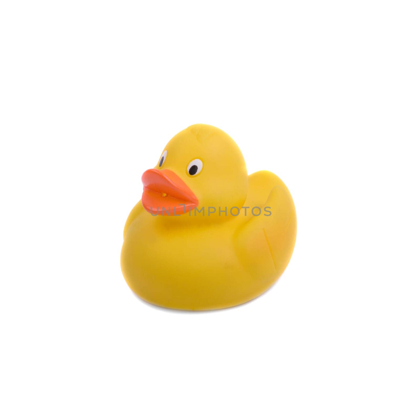 Rubber duck