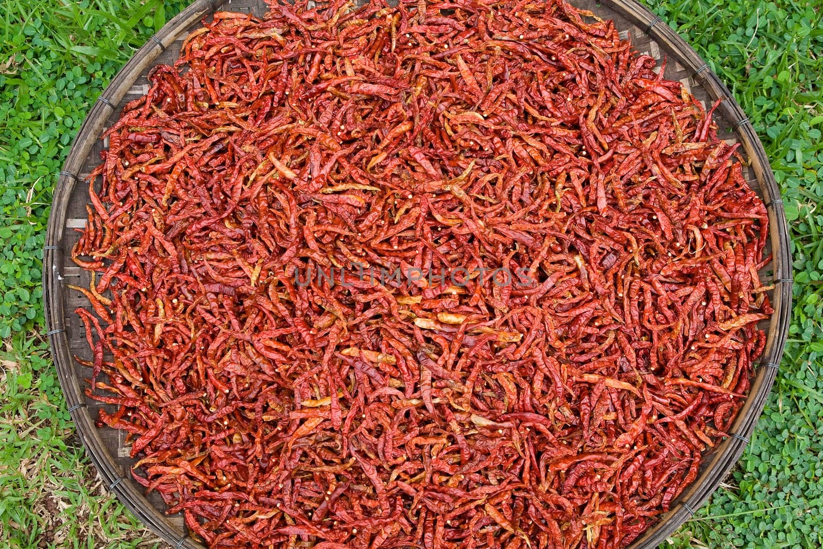 chilli,hot spice