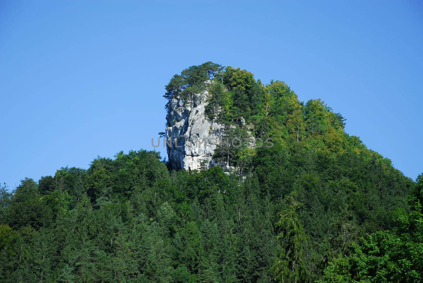 House Stone