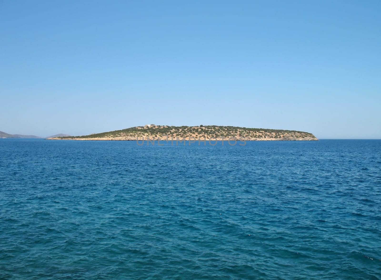 Wild Island