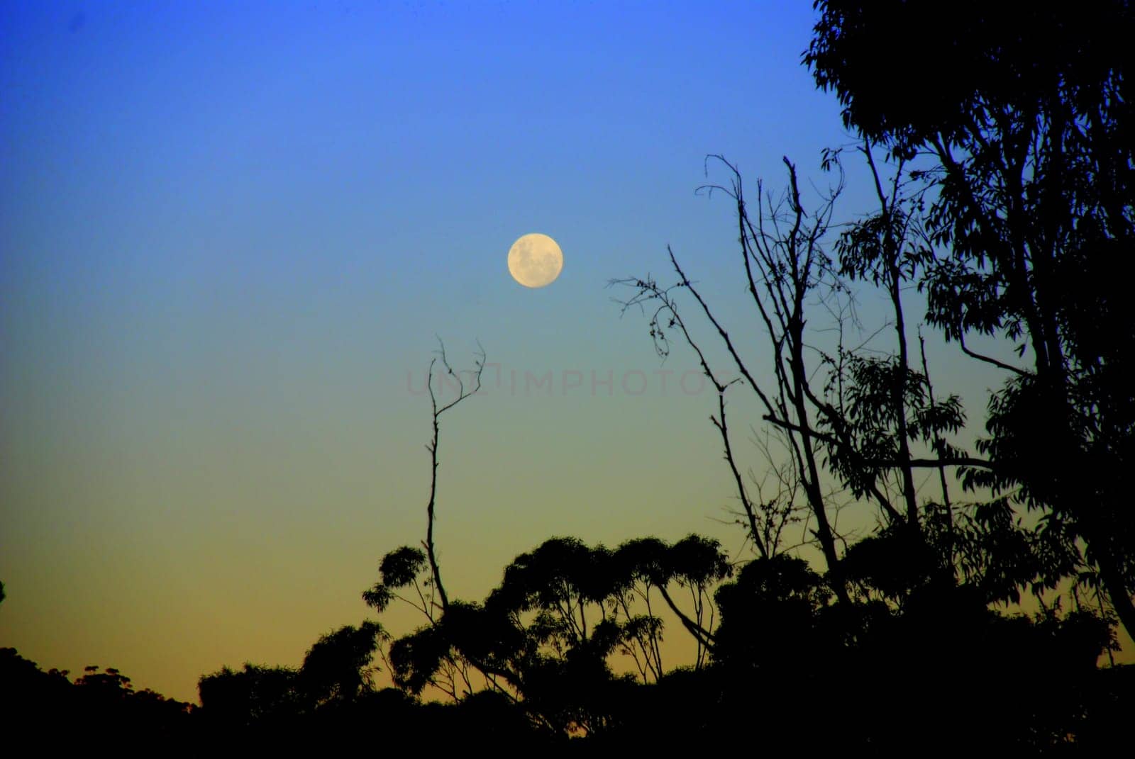 moonrise