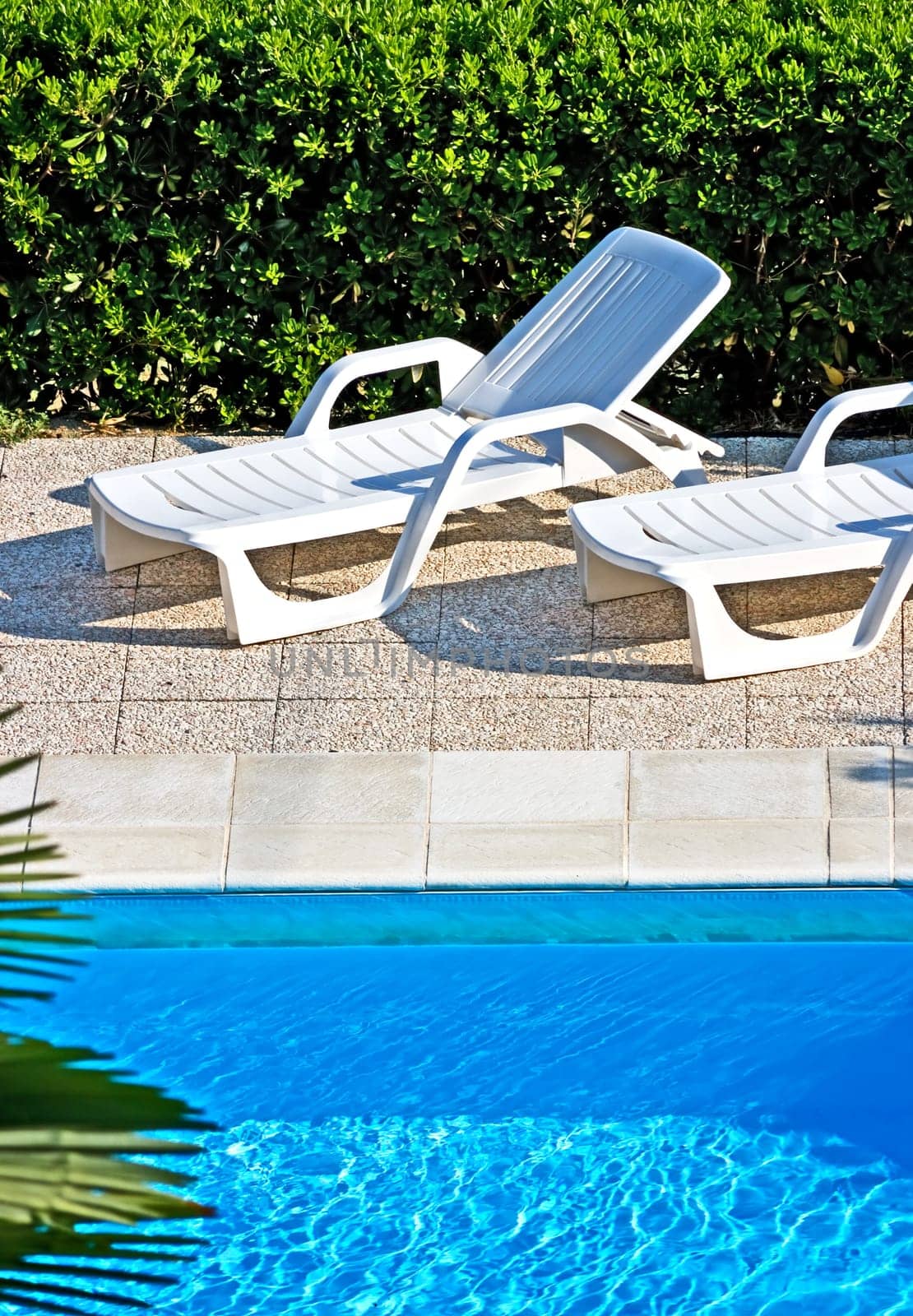 Deck Chairs By The Swimming Pool