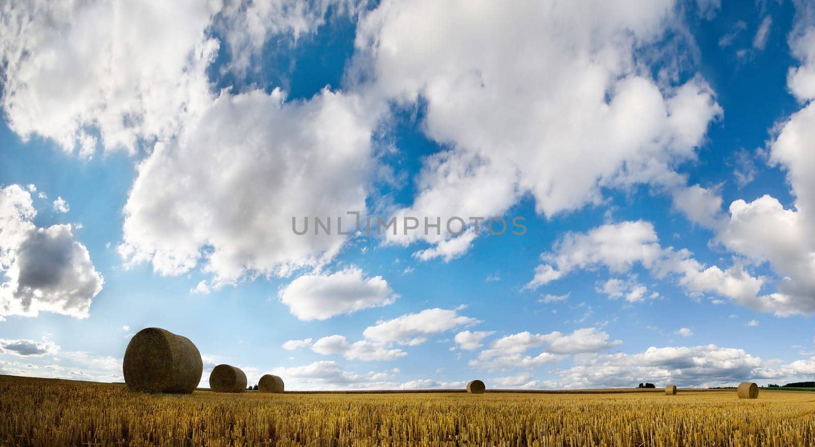 Harvested