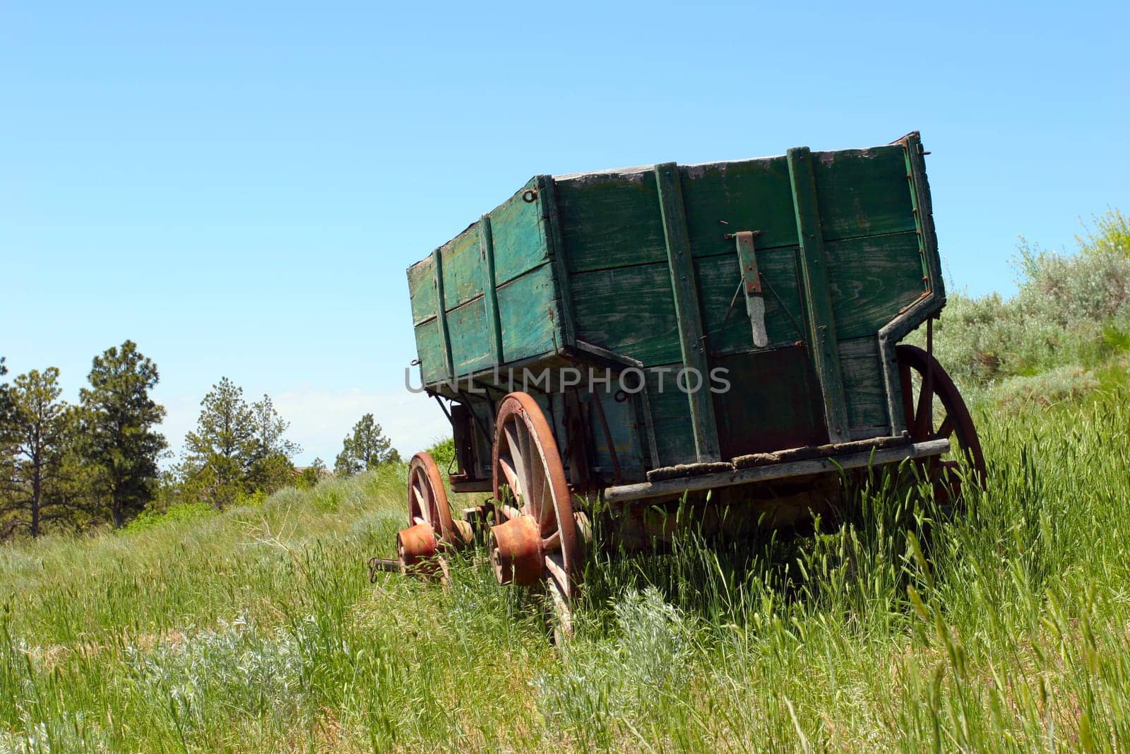 old wagon on hillside