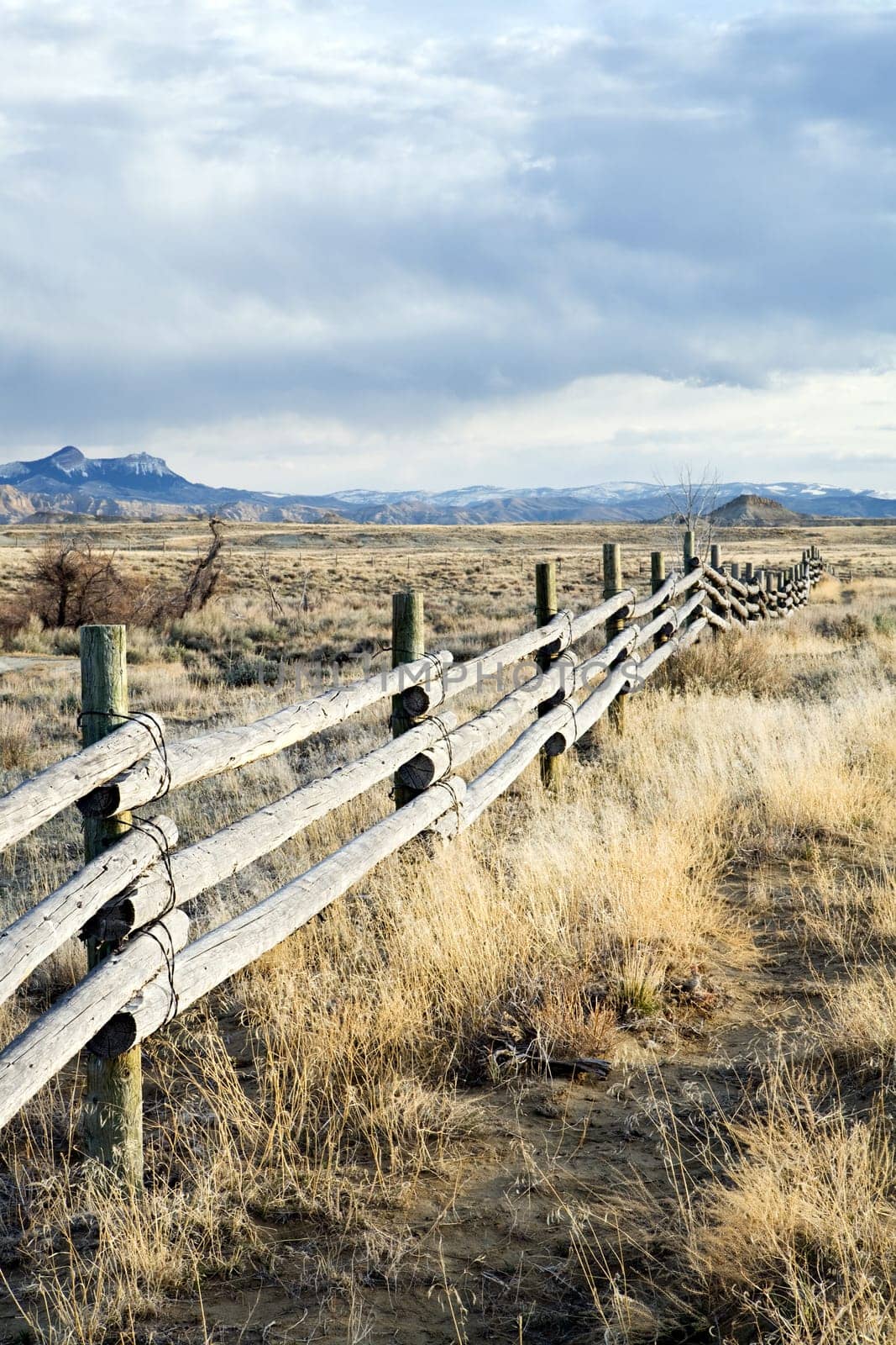 rural fence