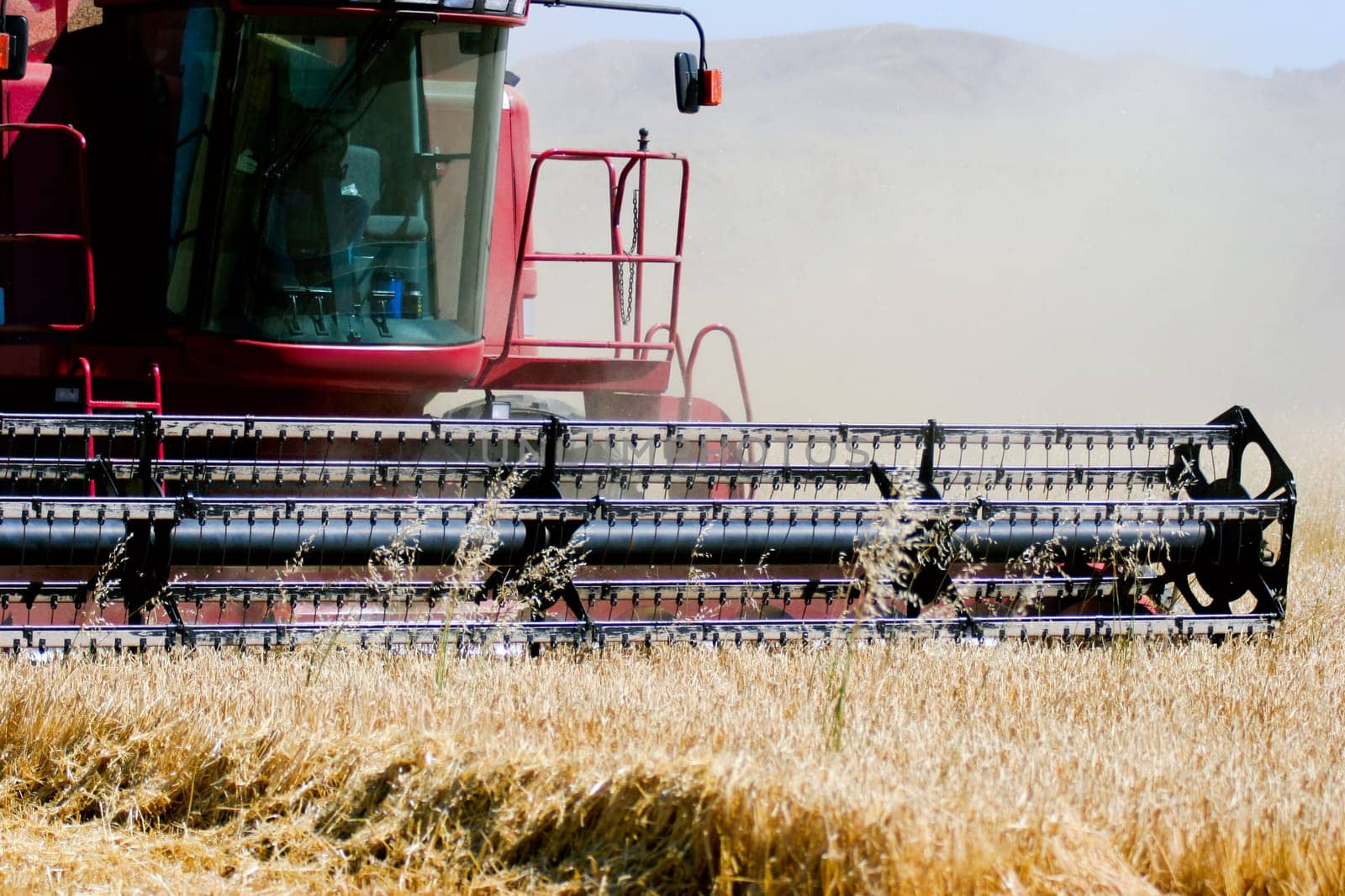 combine harvester on field