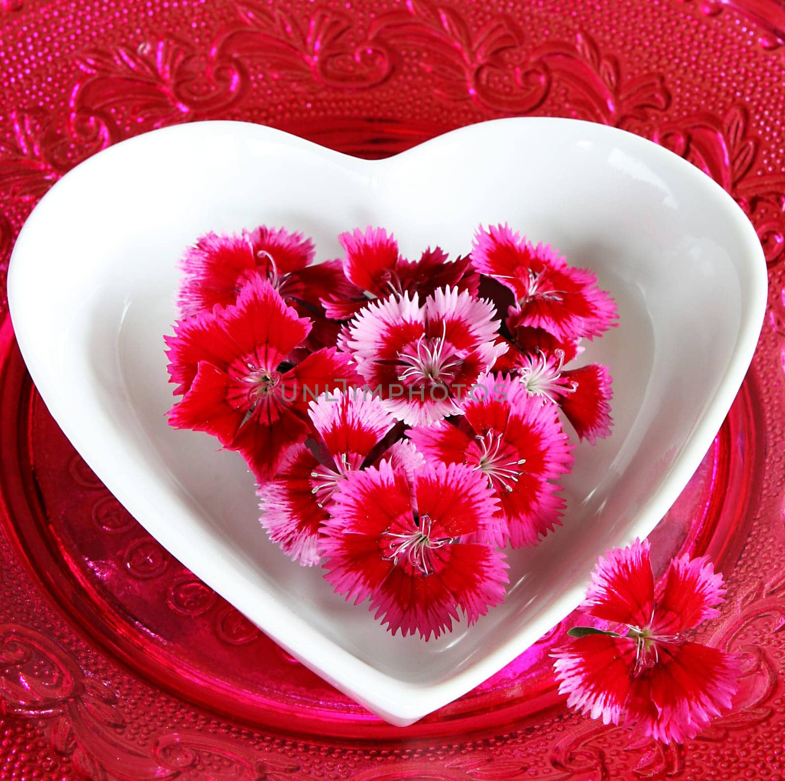 heart of flowers