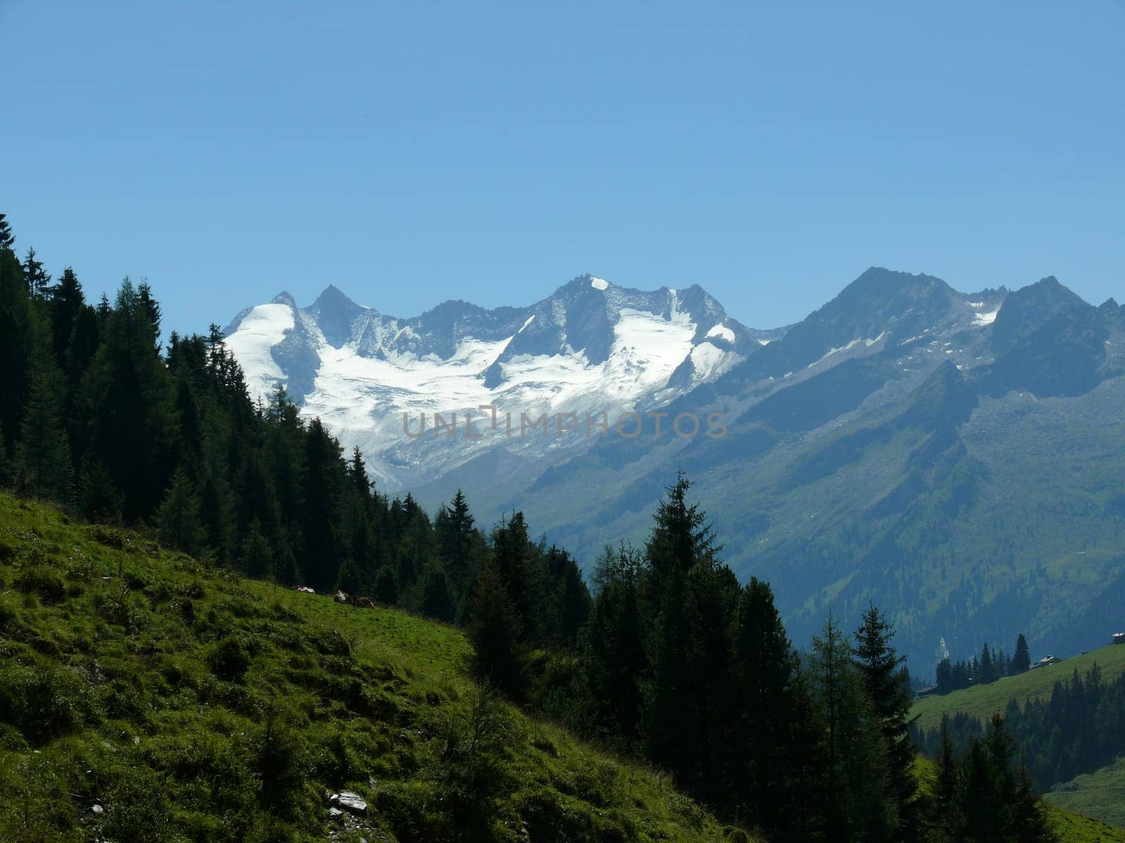 Reichenspitz Group