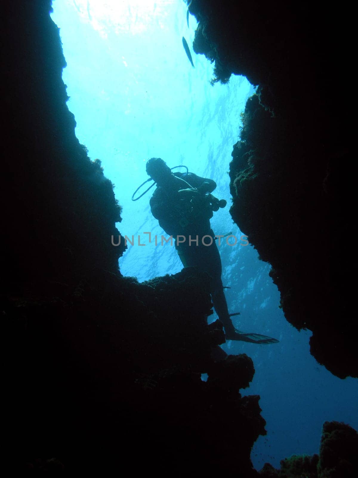 Diver at the cave entrance