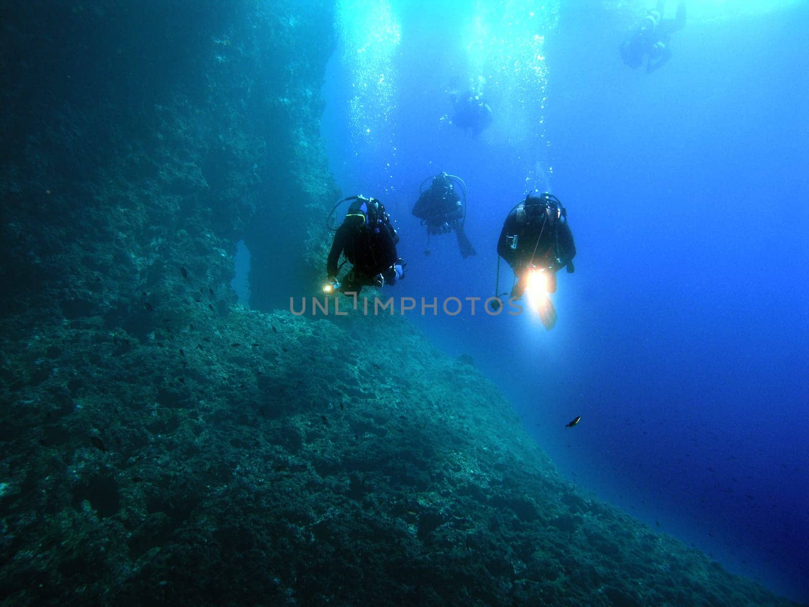 Divers in formation