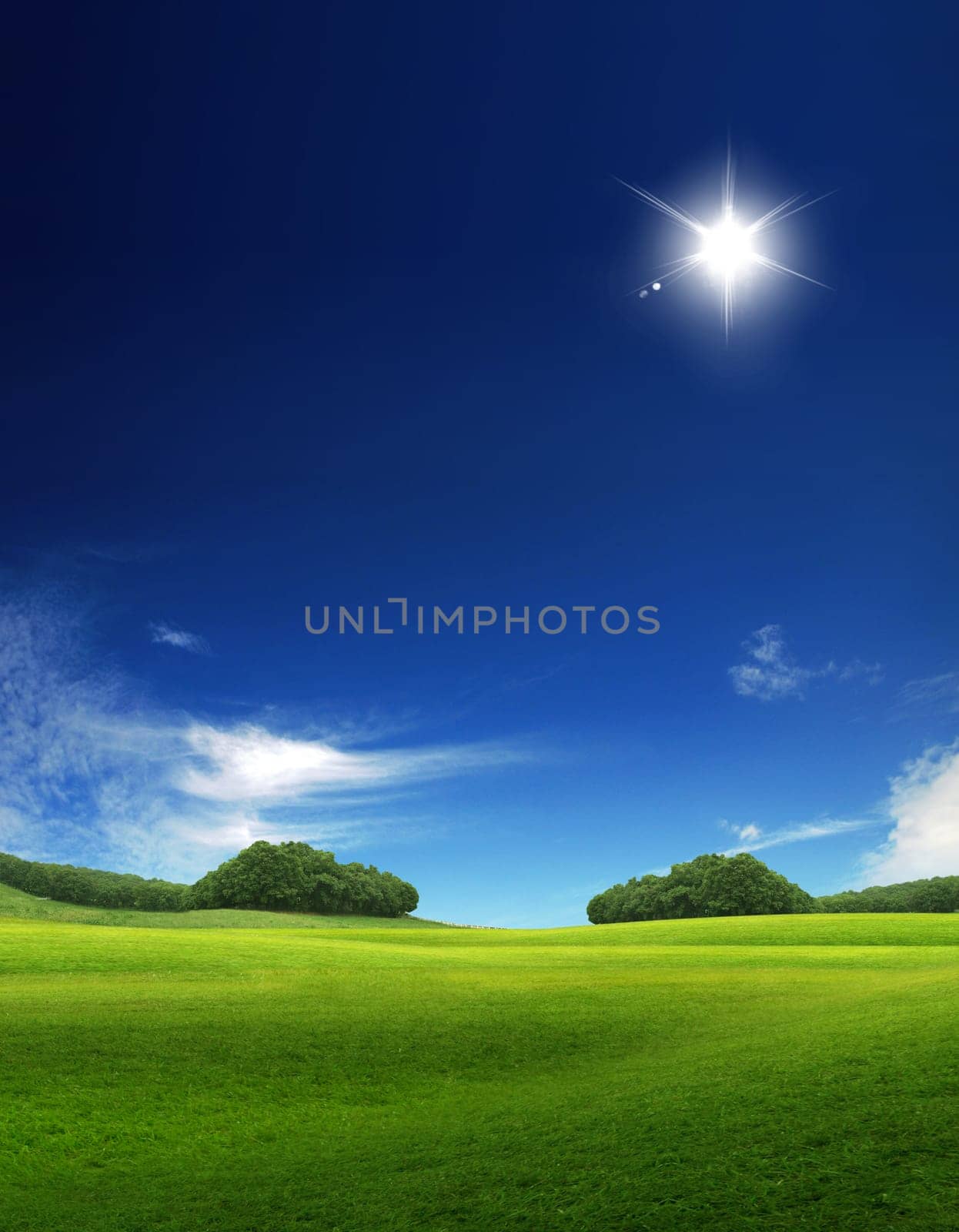 green meadow