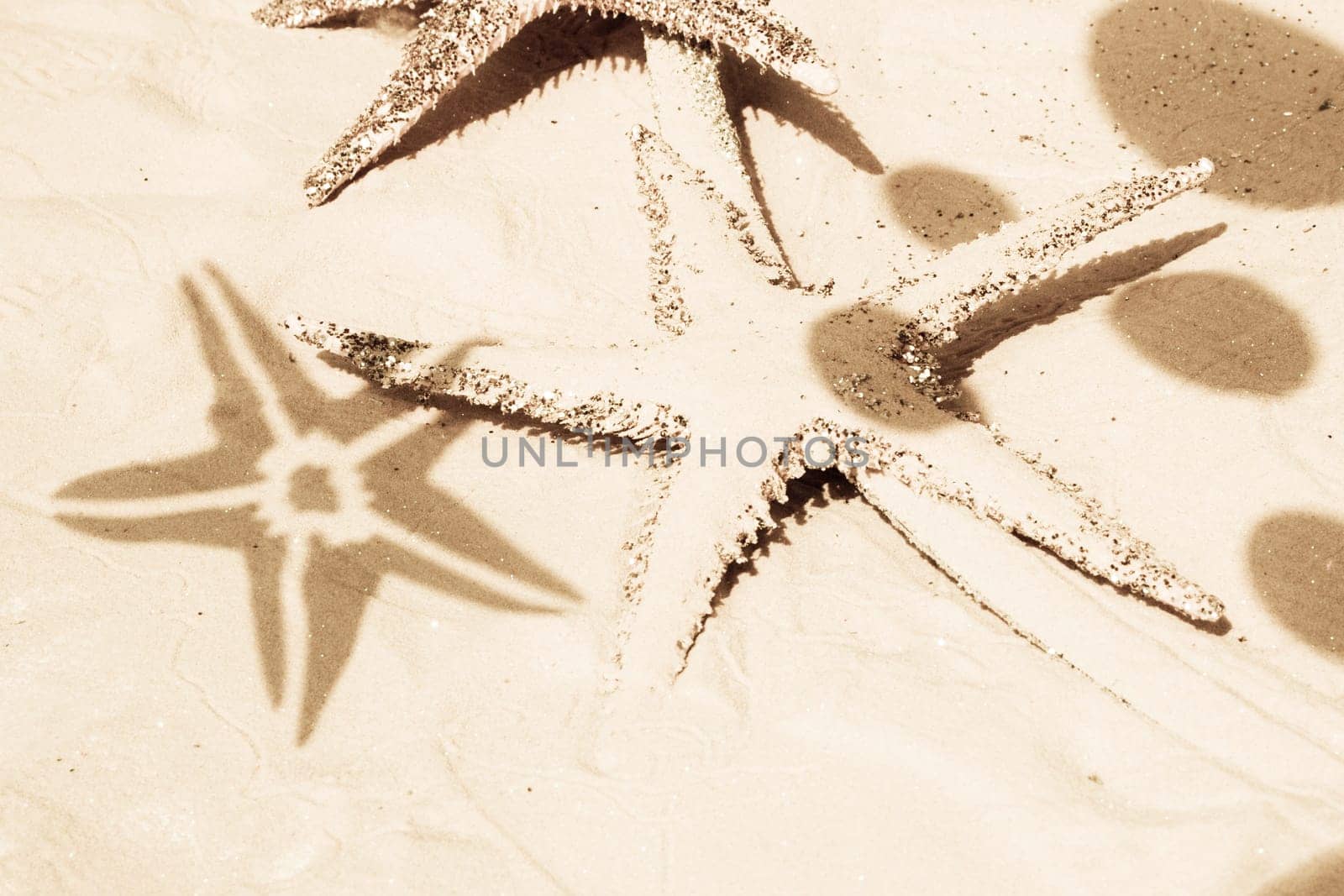 Starfish