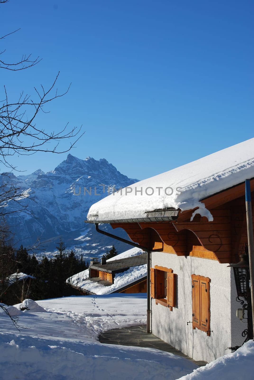 Chalet in Switzerland (Villars)