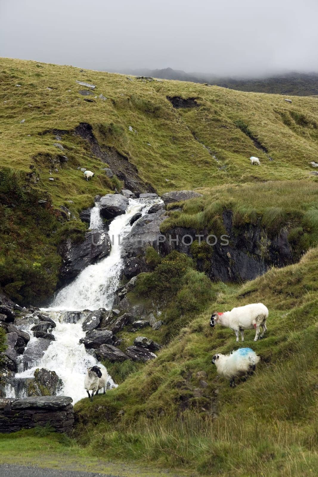 Healy Pass,Ireland
