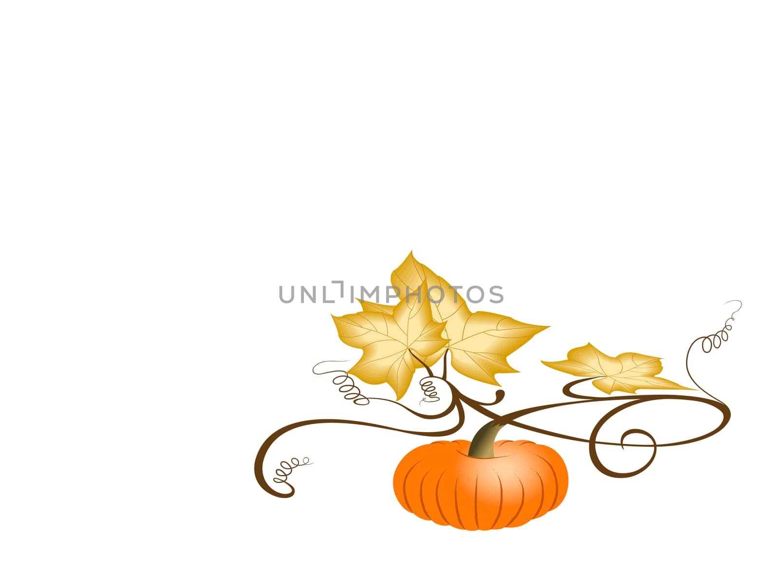 Pumpkin