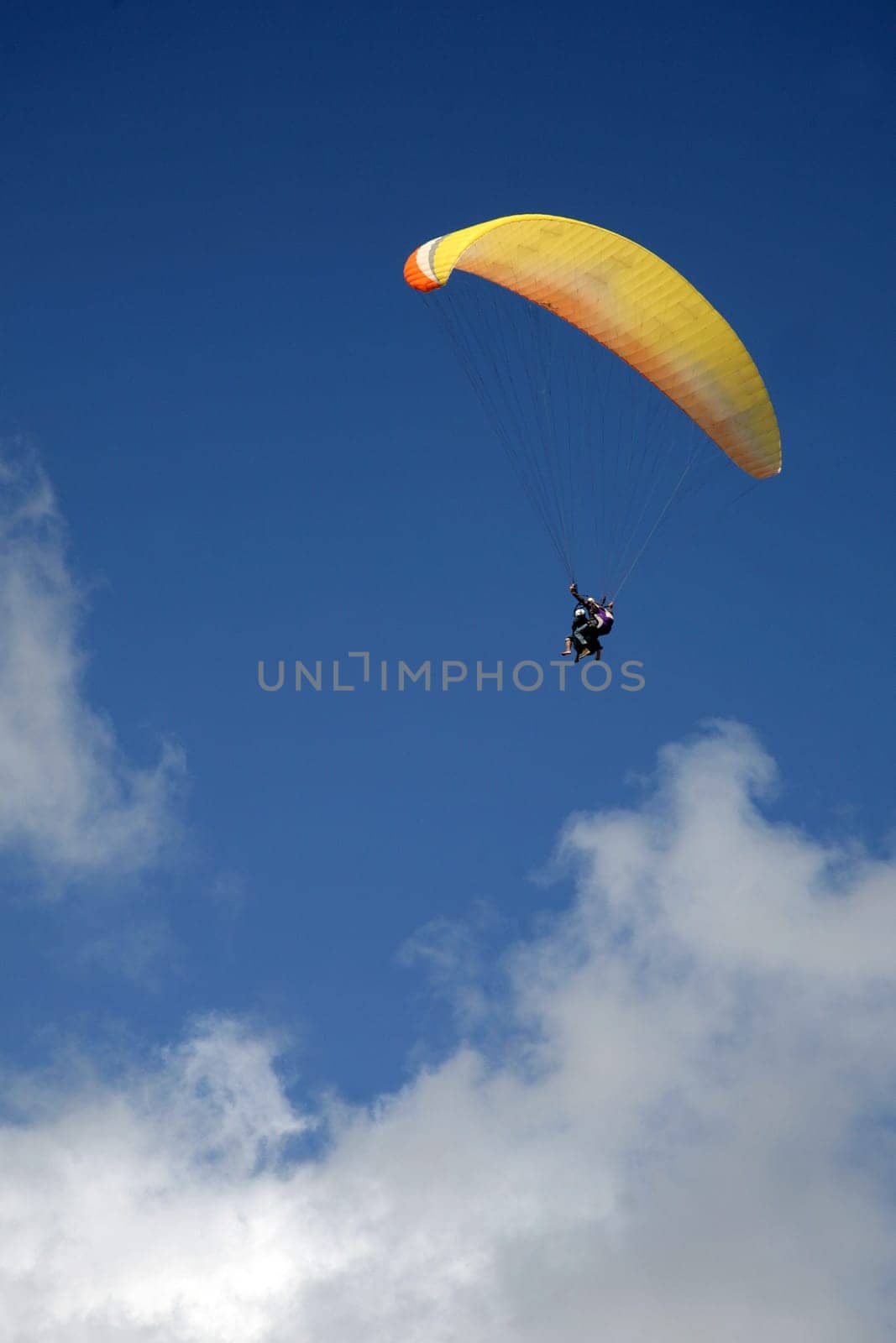Paraglider